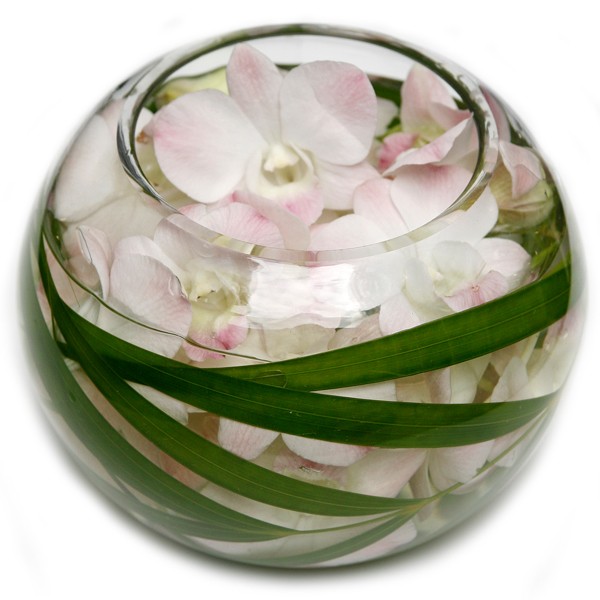 Blush Orchids Bowl – Glitz | Melbourne Florist
